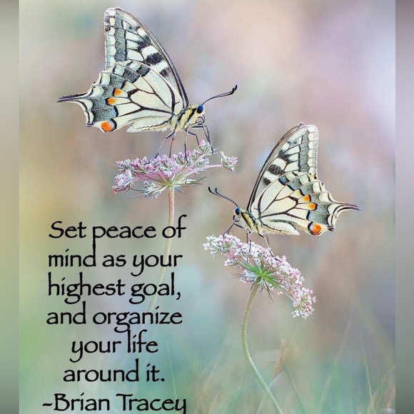 Magical Reminders 🌷✨💫✨🌷 - Picture 2 of 10